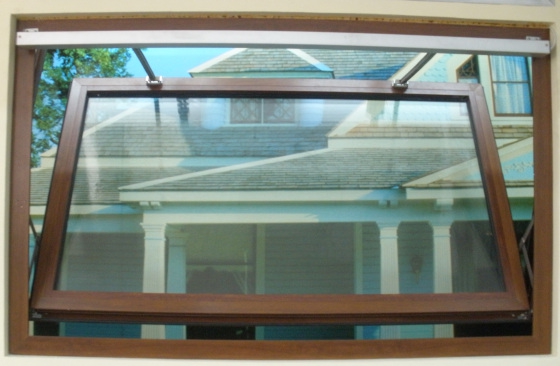 ������ʲô���ʵĺ��Լ�����������